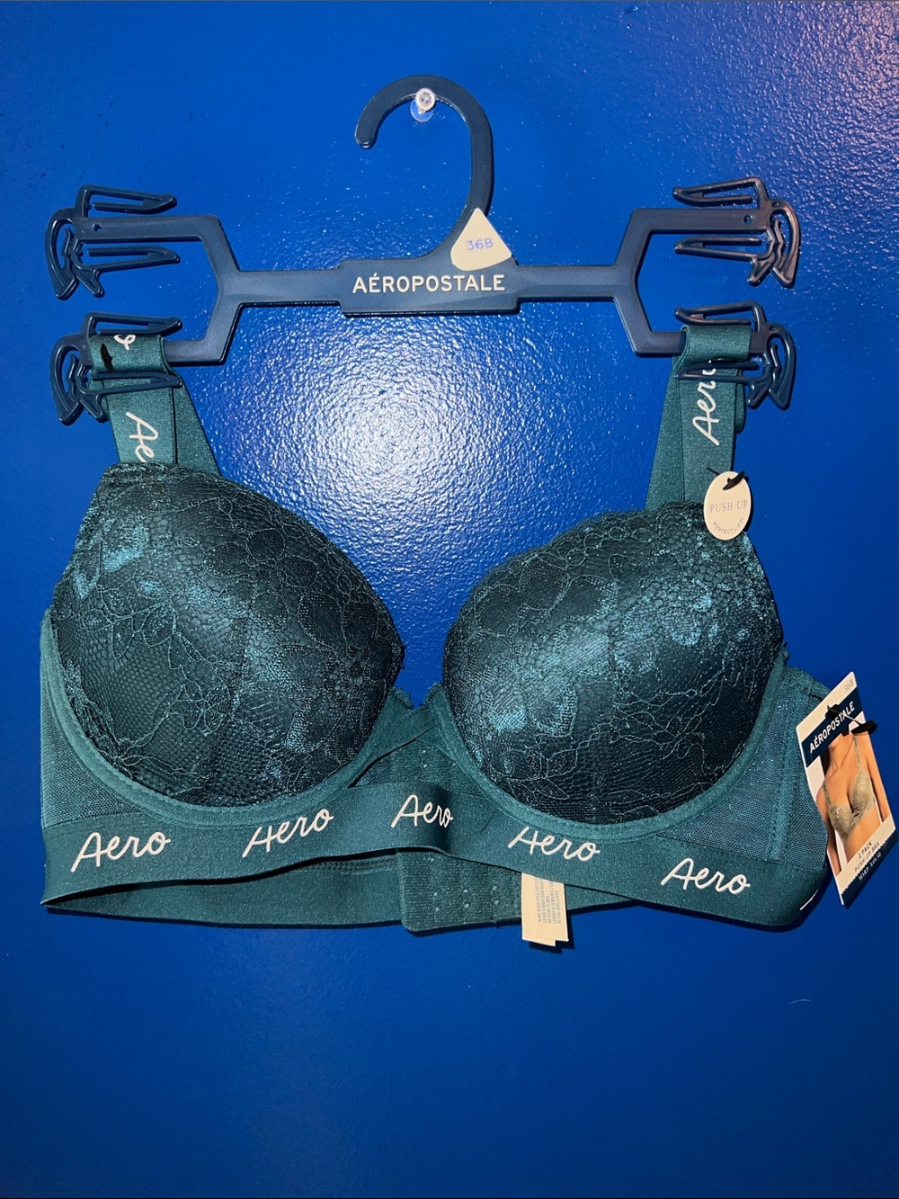 Aéropostale Lined Lace Bra in Green